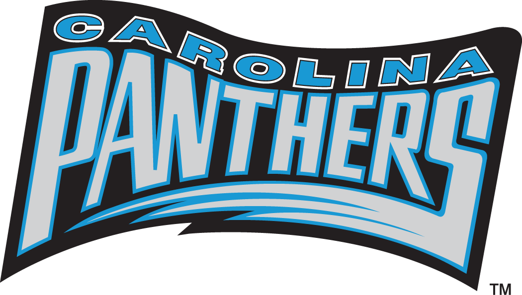 Carolina Panthers 1995 Wordmark Logo 01 iron on paper